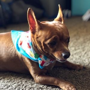 Meet your Posher, Sheena